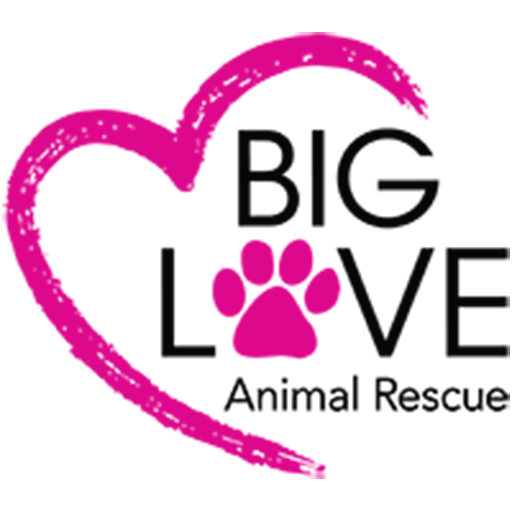 Big Love Animal Rescue logo